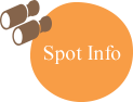 Spot Information