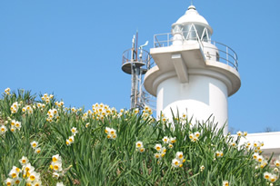 Photo: Mu-shima Island