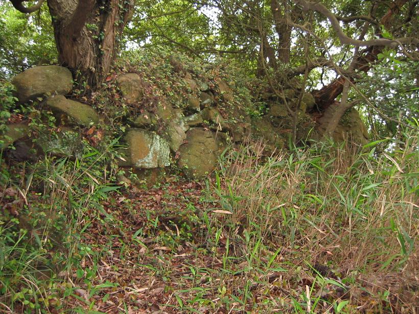 Photo: Ruins of Manabe Castle