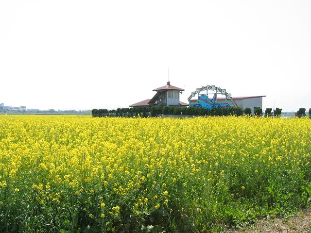 Photo: Kasaoka Air Station (Farm Road Airport)