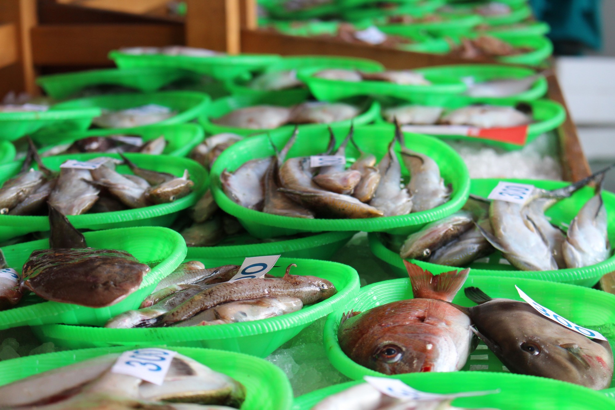 Photo: Kasaoka City Fisheries Cooperative Morning Market