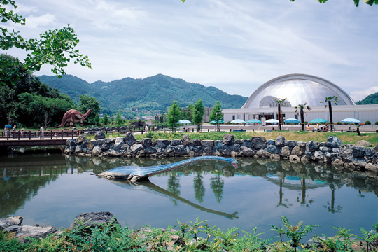 Photo: Kasaoka Municipal Horseshoe Crab Museum