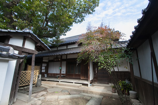 Photo: Manabe Residence and the Elaeocarpus Sylvestris