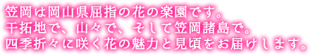 笠岡は岡山県屈指の花の楽園です。干拓地で、山々で、そして笠岡諸島で。四季折々に咲く花の魅力と見頃をお届けします。