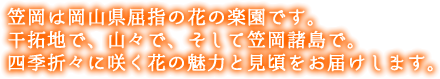 笠岡は岡山県屈指の花の楽園です。干拓地で、山々で、そして笠岡諸島で。四季折々に咲く花の魅力と見頃をお届けします。