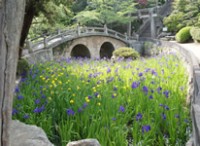 写真：菅原神社