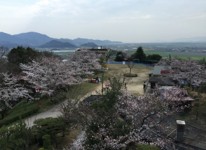 写真：古城山公園