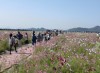 写真：秋の花めぐりドライブ